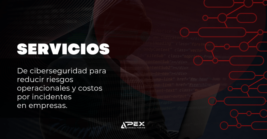 servicio de ciberseguridad